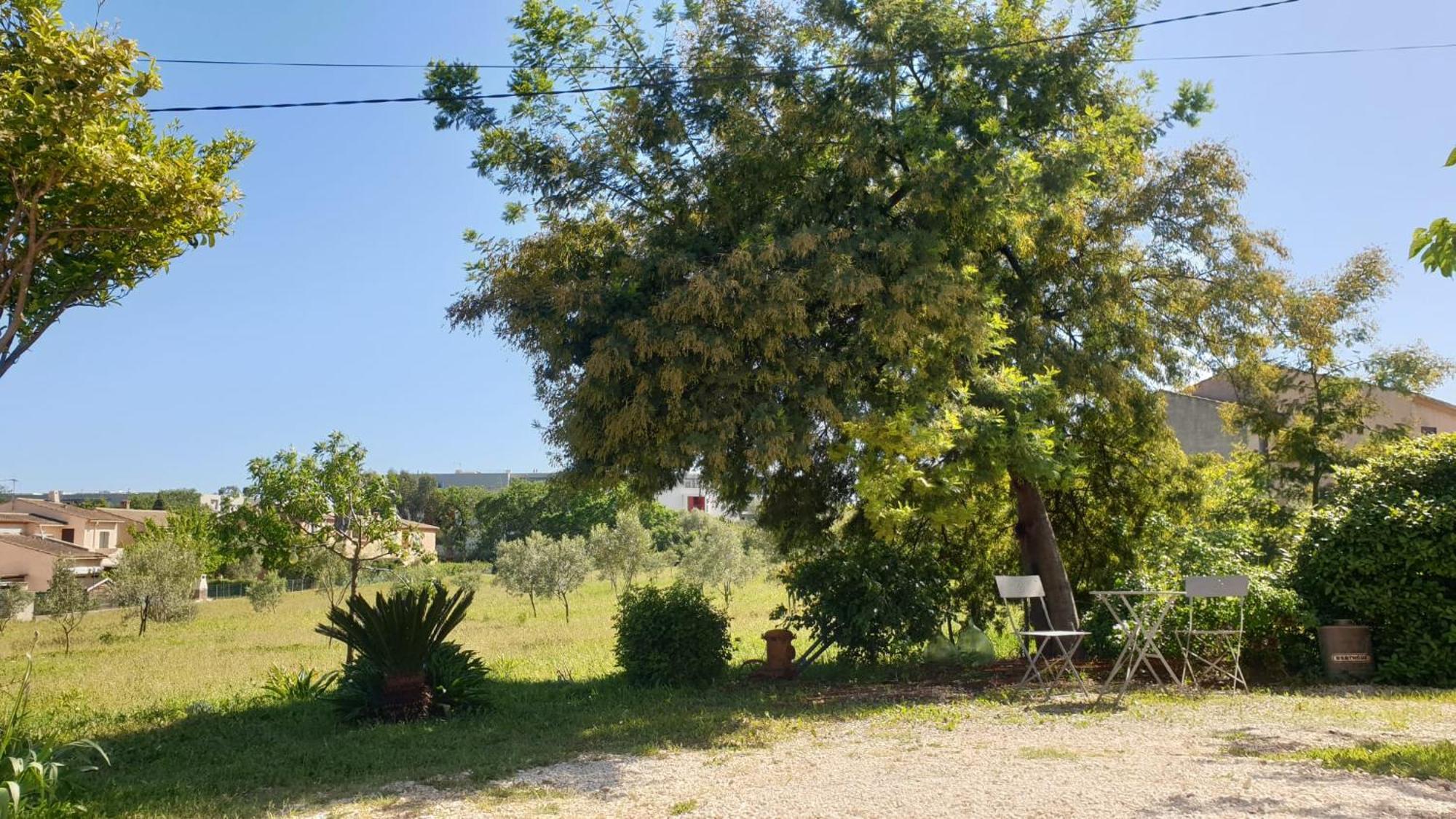 L'Oliveraie Hyères Exterior foto